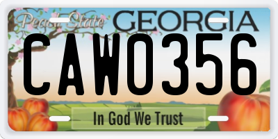 GA license plate CAW0356