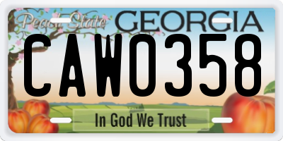 GA license plate CAW0358