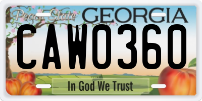 GA license plate CAW0360