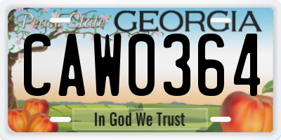 GA license plate CAW0364