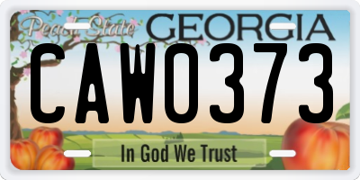 GA license plate CAW0373