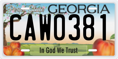 GA license plate CAW0381