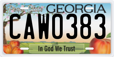 GA license plate CAW0383