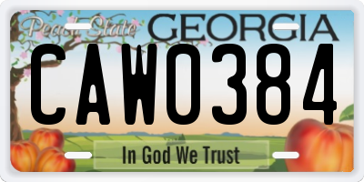 GA license plate CAW0384