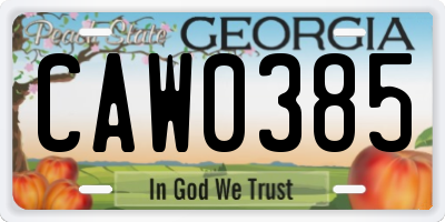 GA license plate CAW0385