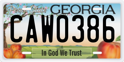 GA license plate CAW0386