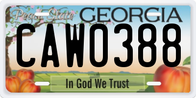 GA license plate CAW0388