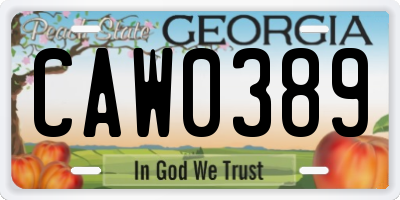 GA license plate CAW0389