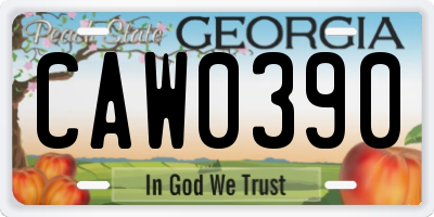 GA license plate CAW0390