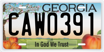 GA license plate CAW0391