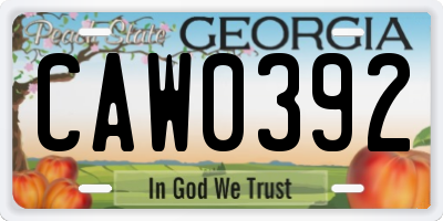 GA license plate CAW0392