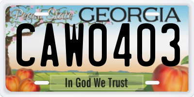 GA license plate CAW0403