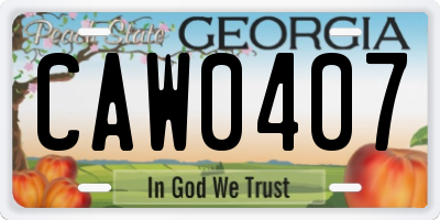 GA license plate CAW0407
