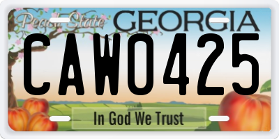 GA license plate CAW0425