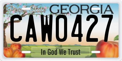 GA license plate CAW0427