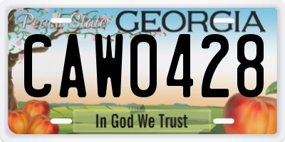 GA license plate CAW0428