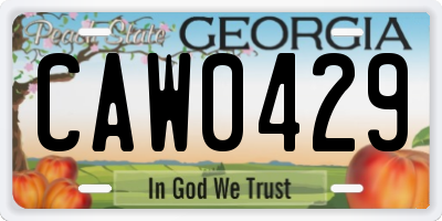 GA license plate CAW0429