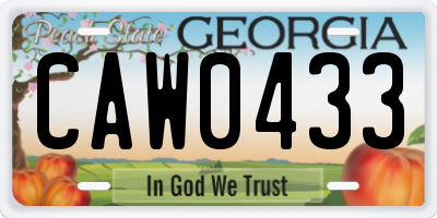 GA license plate CAW0433