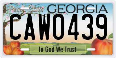 GA license plate CAW0439