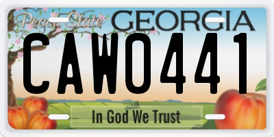 GA license plate CAW0441