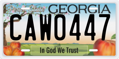 GA license plate CAW0447