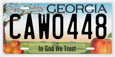 GA license plate CAW0448