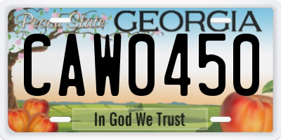 GA license plate CAW0450