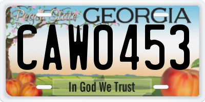 GA license plate CAW0453