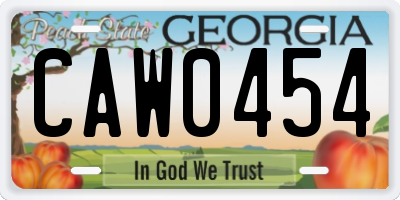 GA license plate CAW0454