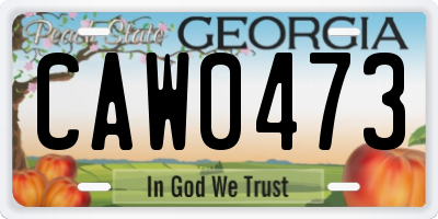 GA license plate CAW0473