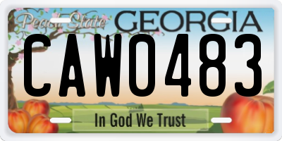 GA license plate CAW0483