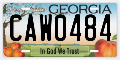 GA license plate CAW0484
