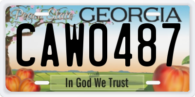 GA license plate CAW0487