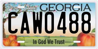 GA license plate CAW0488