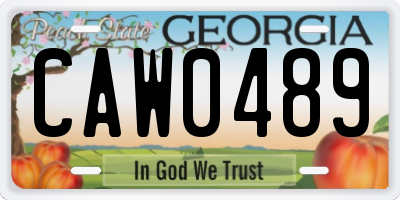 GA license plate CAW0489