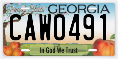 GA license plate CAW0491