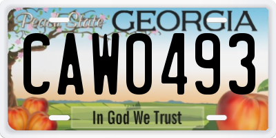 GA license plate CAW0493