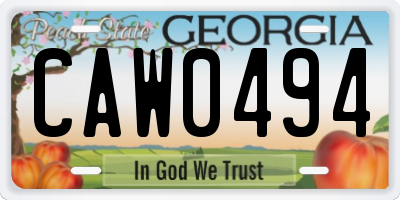 GA license plate CAW0494
