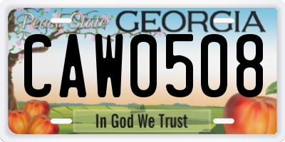 GA license plate CAW0508