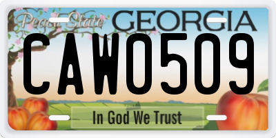 GA license plate CAW0509