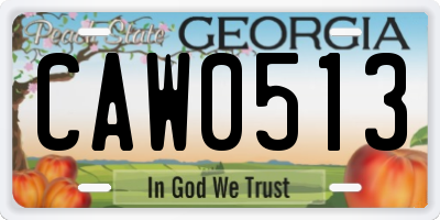 GA license plate CAW0513