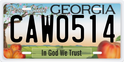 GA license plate CAW0514