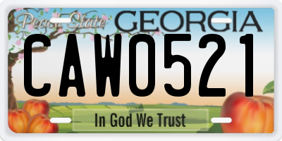 GA license plate CAW0521
