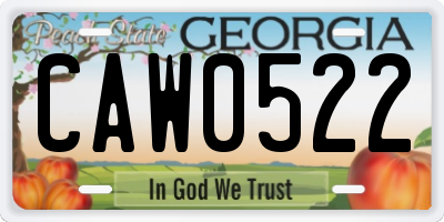 GA license plate CAW0522