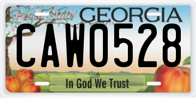 GA license plate CAW0528