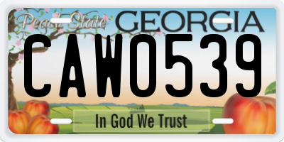 GA license plate CAW0539