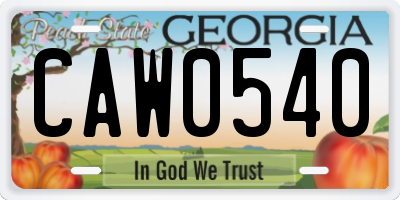 GA license plate CAW0540