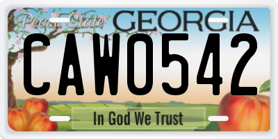 GA license plate CAW0542