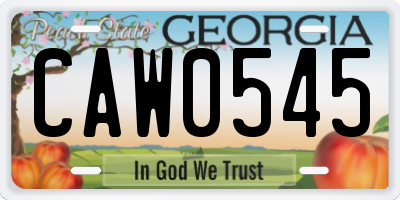 GA license plate CAW0545