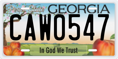 GA license plate CAW0547